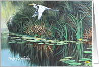 Happy Birthday Egret Scene to a Special Woman card