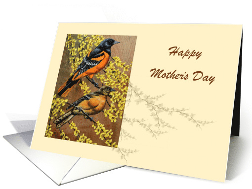 Mother's Day Greeting of a Pair of Orioles on a Forsythia Branch card