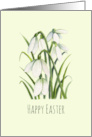 General Happy Easter White Snowdrops Watercolor Illustration card