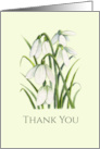 General Thank You White Snowdrops Watercolor Illustration card