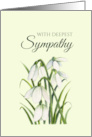 General With Sympathy White Snowdrops Watercolor Illustration card