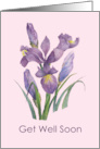 General Get Well Soon Purple Irises Flower Watercolor Painting card