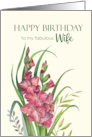 For Wife on Birthday Watercolor Peachy Gladioli Flower Painting card