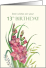 13th Birthday Wishes Watercolor Peachy Gladioli Flower Illustration card