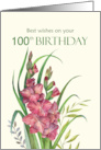 100th Birthday Wishes Watercolor Peachy Gladioli Flower Illustration card