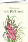 General Get Well Soon Watercolor Warm Peachy Gladioli Illustration card