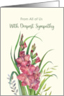 Sympathy from All of Us Watercolor Warm Peachy Gladioli Illustration card