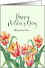 For Grandmother on Mother’s Day Watercolor Yellow Tulips Painting card