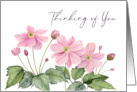Thinking of You Watercolor Japanese Anemone Flower Illustration card