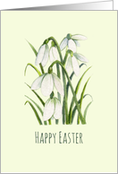 General Happy Easter White Snowdrops Watercolor Illustration card