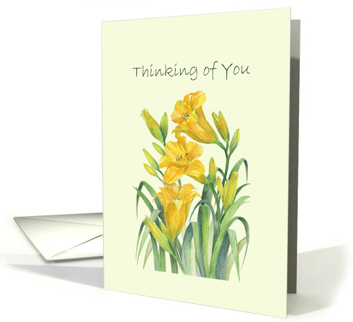 General Thinking of You Yellow Day Lilies Watercolor Illustration card