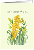 General Thinking of You Yellow Day Lilies Watercolor Illustration card