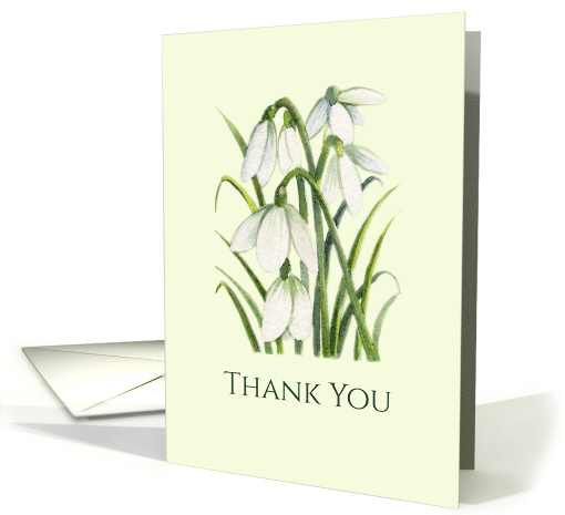 General Thank You White Snowdrops Watercolor Illustration card