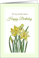 For Mum on Birthday Watercolor Yellow Daffodils Illustration card
