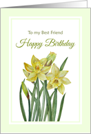 For Best Friend on Birthday Watercolor Yellow Daffodils Illustration card