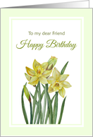 For Friend on Birthday Watercolor Yellow Daffodils Illustration card