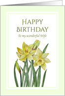 For Wife on Birthday Watercolor Yellow Daffodils card