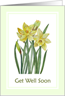 General Get Well Soon Watercolor Yellow Daffodils card