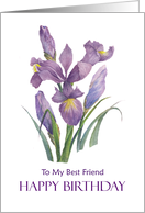 For Best Friend on Birthday Purple Irises Floral Illustration card