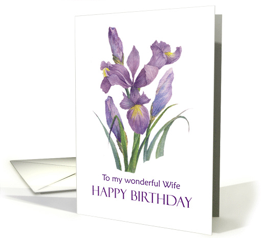 For Wife on Birthday Purple Irises Floral Illustration card (1703384)
