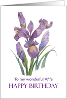 For Wife on Birthday Purple Irises Floral Illustration card