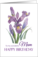For Mum on Birthday Purple Irises Floral Illustration card