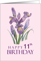 Happy 11th Birthday Purple Irises Watercolor Floral Illustration card
