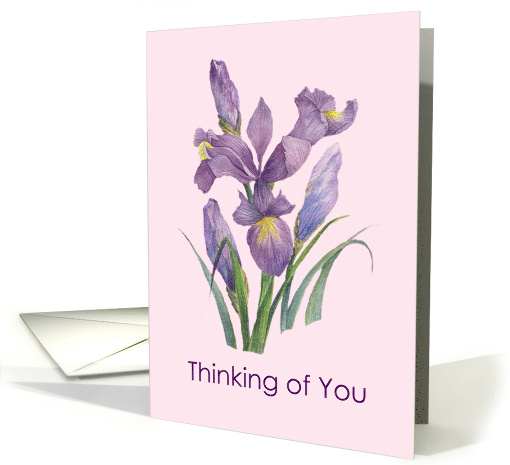 General Thinking of You Purple Irises Flower Watercolor Painting card