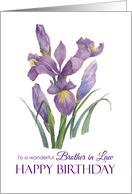 For Brother in Law on Birthday Purple Irises Flower Watercolor card