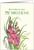 75th Birthday Wishes Watercolor Peachy Gladioli Flower Illustration card