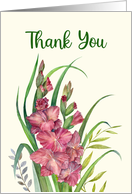Thank You Blank Inside Watercolor Warm Peachy Gladioli Illustration card