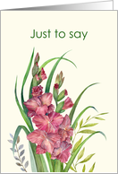 Just To Say Hello Watercolor Warm Peachy Gladioli Illustration card