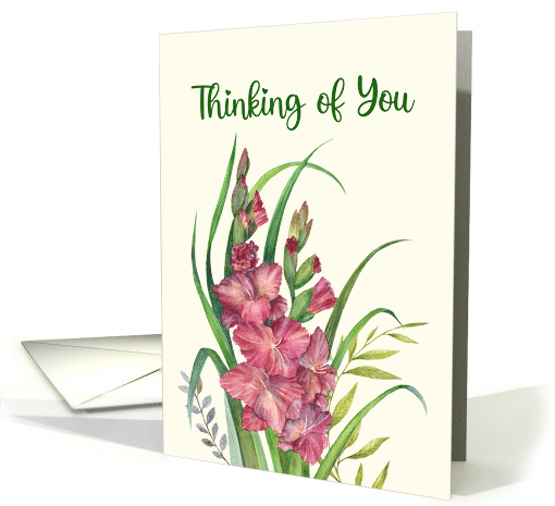 Thinking of You Watercolor Warm Peachy Gladioli Illustration card