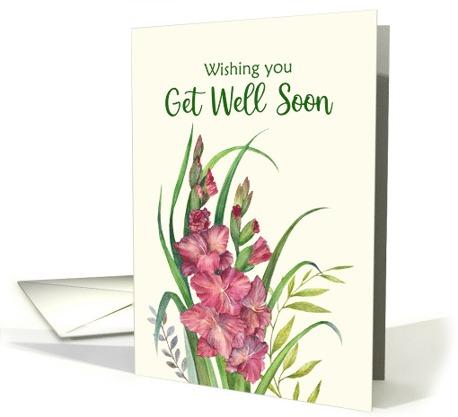 General Get Well Soon Watercolor Warm Peachy Gladioli... (1741216)