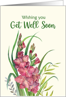 General Get Well Soon Watercolor Warm Peachy Gladioli Illustration card