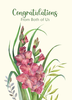 Congratulations from Both of Us Watercolor Warm Gladioli Illustration