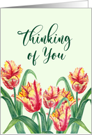 Thinking of You Watercolor Yellow Parrot Tulips Floral Illustration card