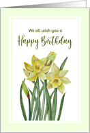 From All of Us on Birthday Watercolor Daffodils Floral Illustration card