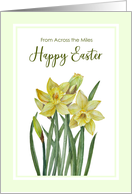 From Across the Miles on Easter Watercolor Daffodils Illustration card