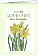 For Great Grandmother on Mother’s Day Watercolor Daffodils Painting card