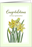 Congratulations on Your Graduation Watercolor Daffodils Painting card