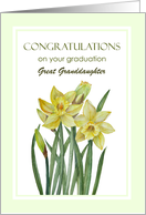 For Great Granddaughter on Graduation Watercolor Daffodils Painting card