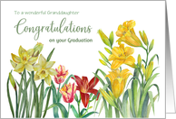 For Granddaughter on Graduation Spring Flowers Watercolor Painting card