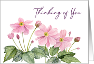 Thinking of You Watercolor Japanese Anemone Flower Illustration card
