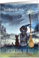 From Across the Miles Thinking of You Black Cat and The Witch card