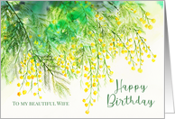 For Wife on Birthday Yellow Mimosa Botanical Watercolor Painting card