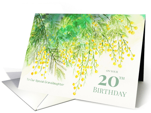 For Granddaughter on 20th Birthday Custom Yellow Mimosa Painting card