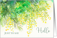 Just to Say Hello Yellow Mimosa Watercolor Flower Painting card
