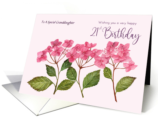 For Granddaughter 21st Birthday Custom Pink Hydrangea... (1945760)