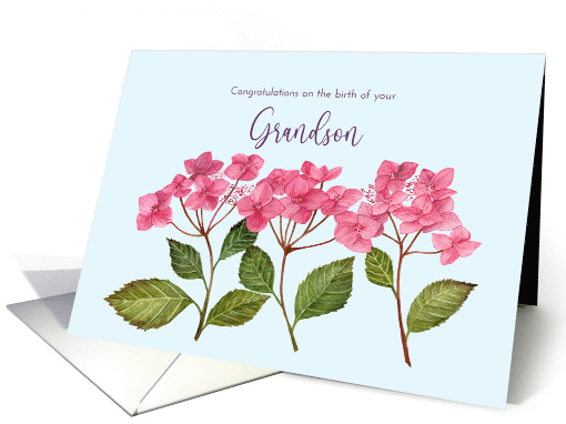 Congratulations on The Birth of Grandson Pink Hydrangea card (1962598)